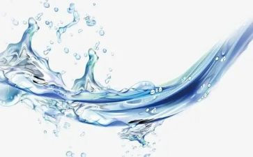 吸水活动教案7篇