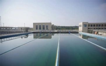 淡水厂工作总结报告5篇
