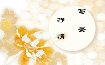 抒情作文300字初中作文5篇