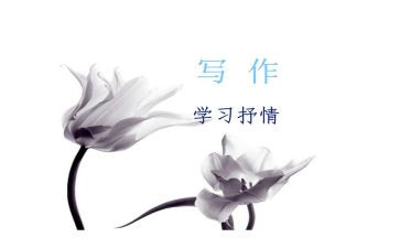 中考抒情类作文7篇