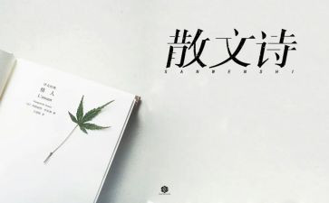 写抒情的作文5篇
