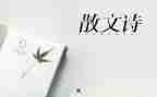 写抒情的作文5篇