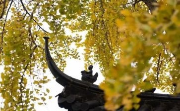 寺管干部个人总结精选8篇