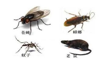 幼儿园防四害工作计划5篇