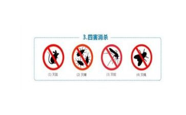 灭四害工作计划8篇