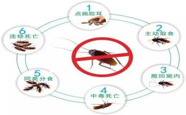 学校除四害工作计划7篇