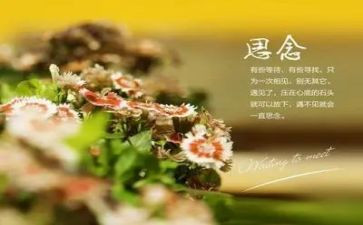 故乡的思念作文推荐7篇