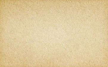 茶传统文化作文素材作文7篇