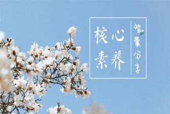 素养心得体会模板6篇