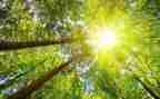 种太阳活动教案7篇