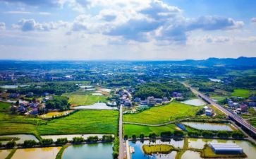 特岗个人述职报告8篇