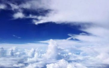 树和天空教案7篇