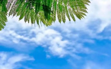 锋与天气教案参考6篇