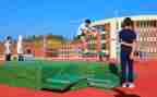 小学体艺21工作计划6篇