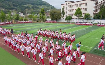 幼儿游戏体育活动教案参考6篇
