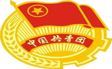 团干部述职报告模板6篇