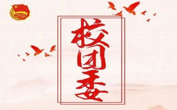 乡团委工作总结推荐6篇