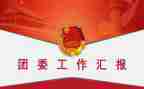 学期团委工作总结8篇