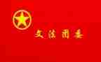 团委工作总结总结5篇