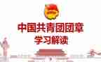 读团章的心得体会8篇