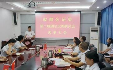 团总支的个人总结5篇