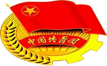 团组织建设活动总结6篇