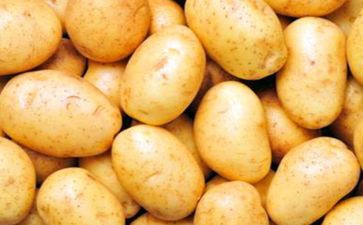 卖土豆读后感8篇