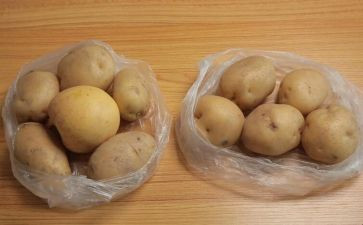 土豆的想象作文精选5篇