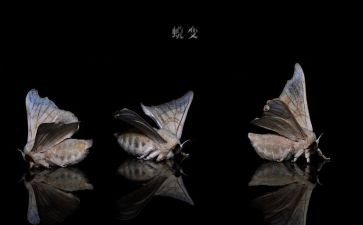 我在中蜕变作文推荐8篇