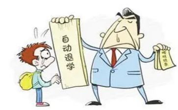 退学申请书模板6篇