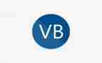 vb实训心得体会7篇