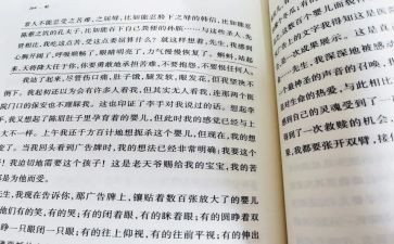 莫言的蛙读后感8篇