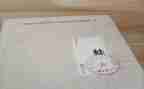 写青蛙的作文优质7篇