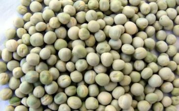豌豆教案6篇