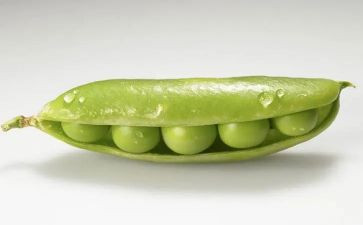 豌豆上的公主,读后感6篇