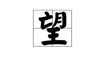 《守望者》读后感1000字6篇