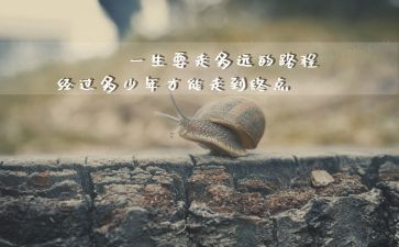 微感悟作文6篇