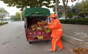 学校保卫工作总结范文5篇