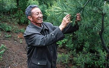 观文朝荣心得体会7篇