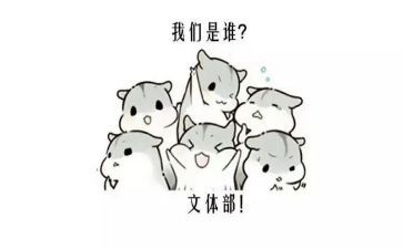 文体部年度总结8篇