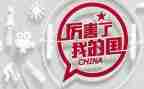 强了我的国心得体会8篇