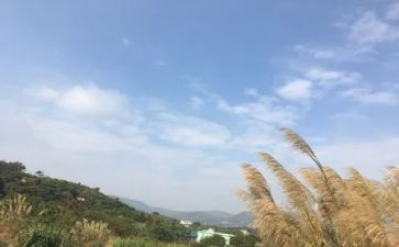 我的一天200字作文5篇