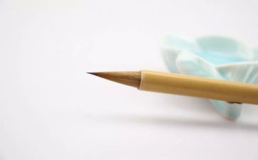 我想变成??作文6篇