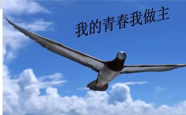 我做主作文通用7篇