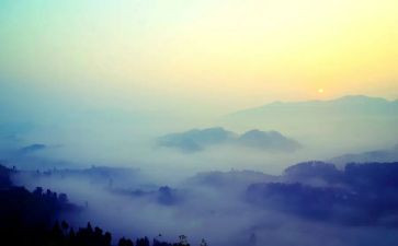 雾都孤儿记读后感7篇