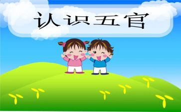 五官的作文模板8篇