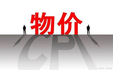 物价员的年终总结7篇