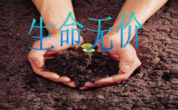 母爱无价的作文通用8篇
