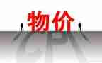 物价员的年终总结7篇