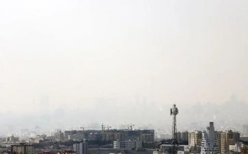 写污染的调查报告精选7篇